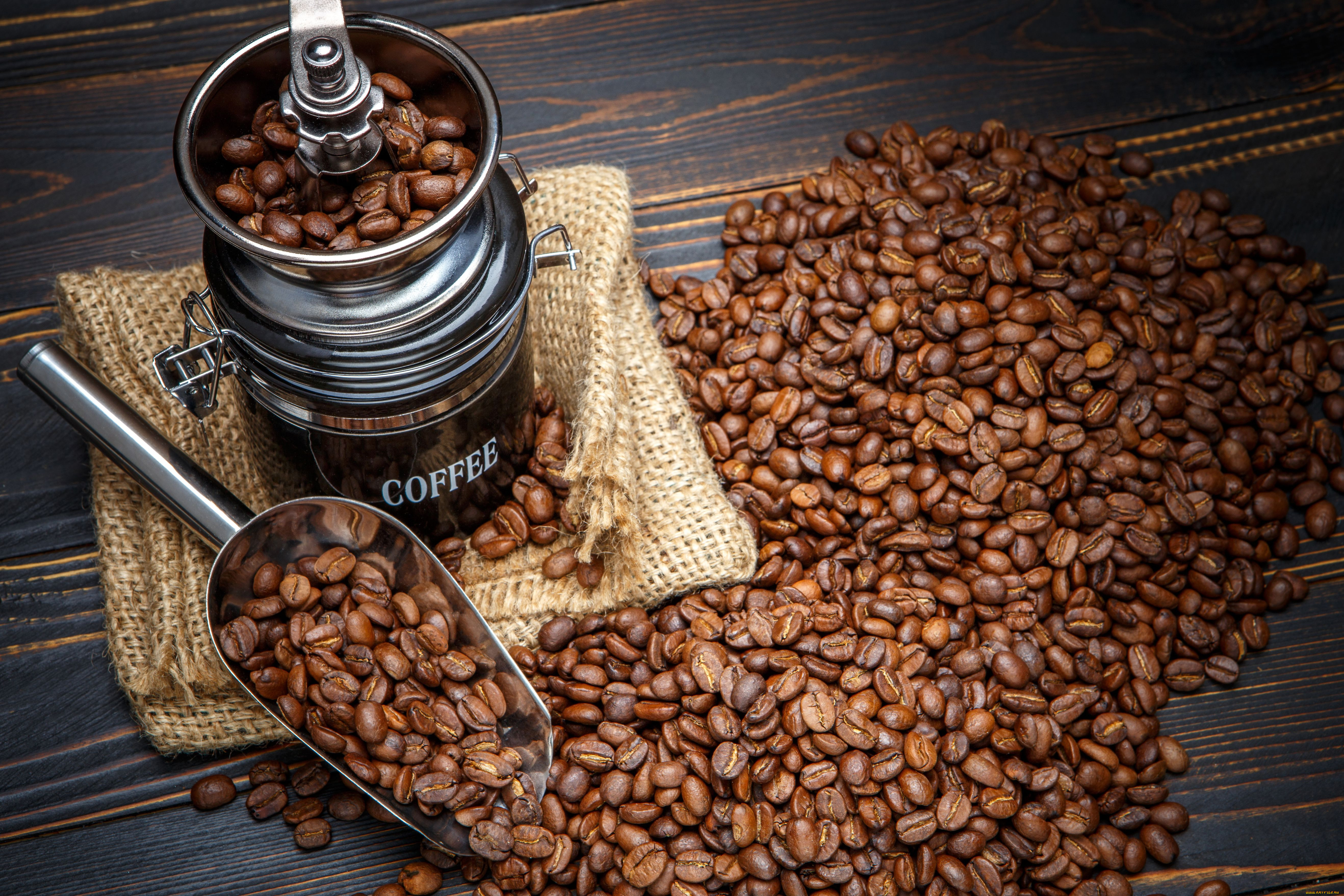 Кофе. Эфиопия мокко кофе. Кофе в зернах. Кофейные зерна. Кофе «зерновой».